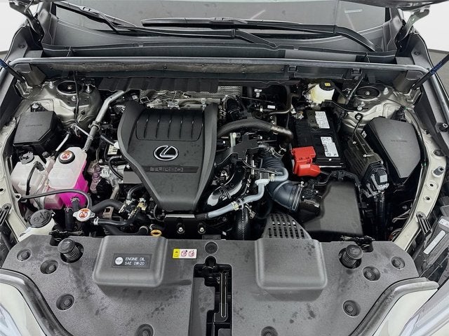 2025 Lexus NX 350 Luxury