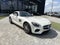 2016 Mercedes-Benz AMG® GT S