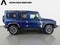 2025 INEOS Grenadier Station Wagon Detour Edition