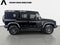 2024 INEOS Grenadier Station Wagon Base