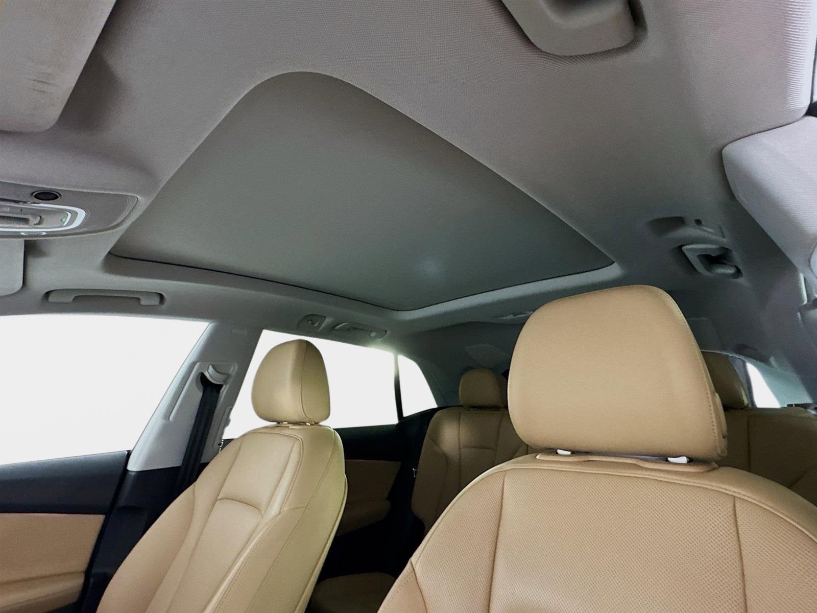 2023 Audi Q8 Premium Plus