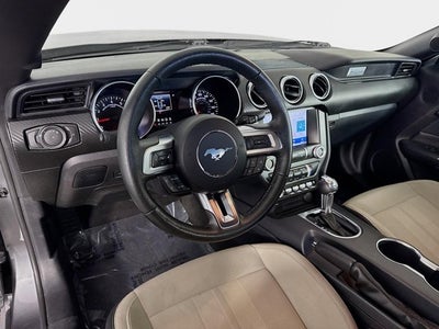 2022 Ford Mustang EcoBoost