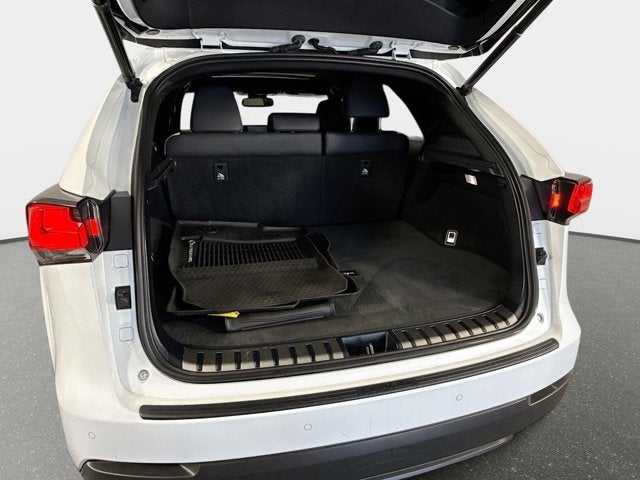 2021 Lexus NX NX 300 F SPORT