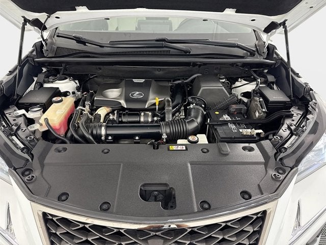 2021 Lexus NX NX 300 F SPORT