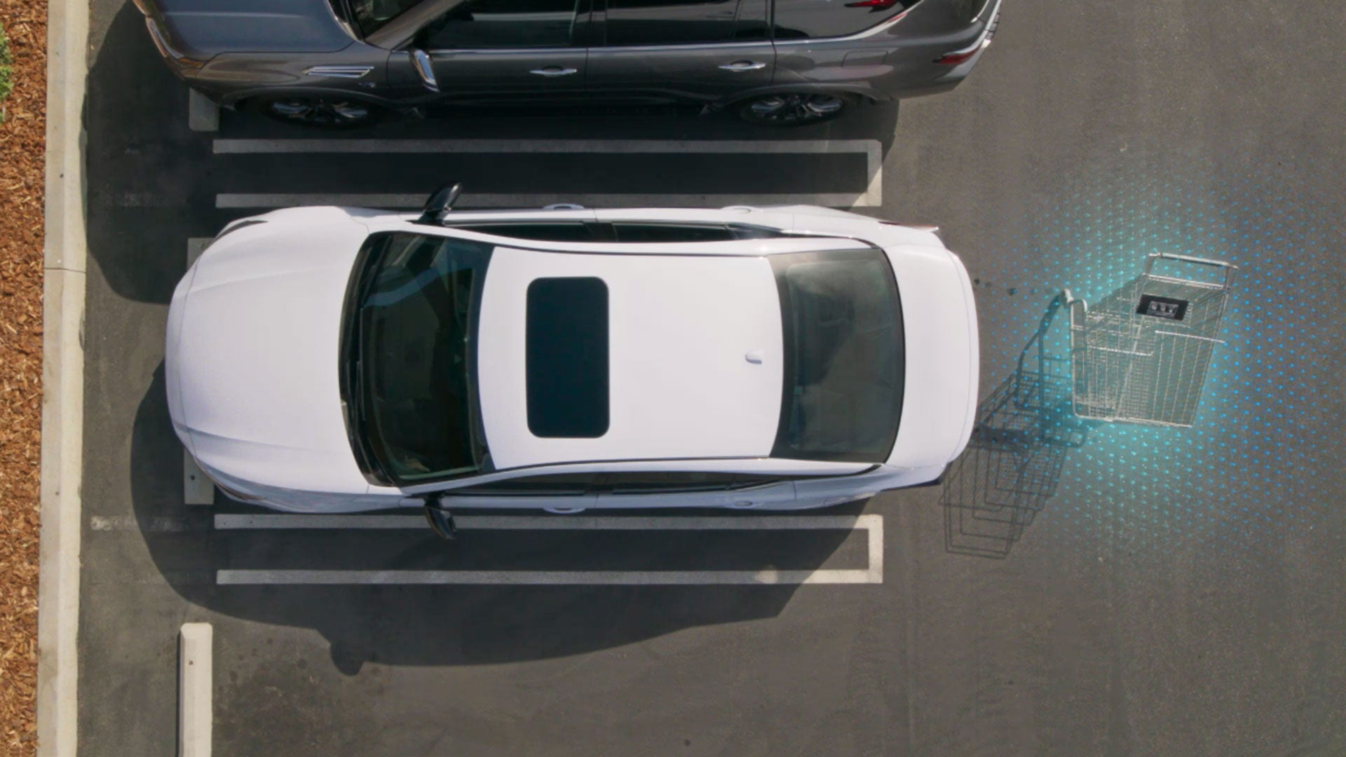 2026 Nissan Altima | Crown Nissan in St. Petersburg, FL